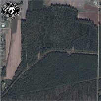 Gumpond Tract