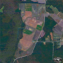 Heckstall Tract