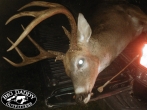 Big Daddy Outfitters Photos